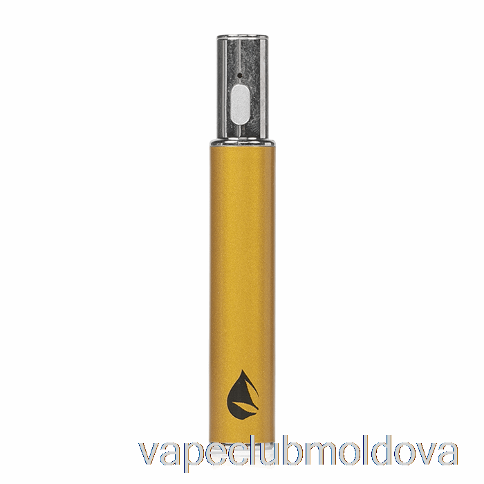 Vape Mod Leaf Buddi Max Iii 3 650mah Baterie Gold